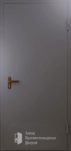 Фото двери «Техническая дверь №1 однопольная» в Озёрам